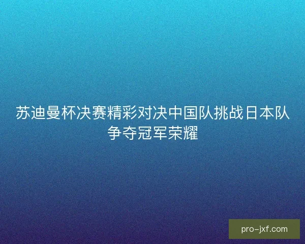 苏迪曼杯决赛精彩对决中国队挑战日本队争夺冠军荣耀